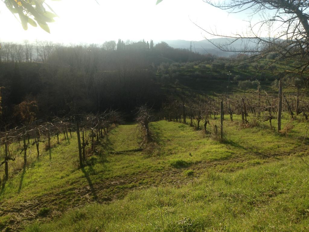 Vila Podere San Lorenzo Terranuova Bracciolini Exteriér fotografie